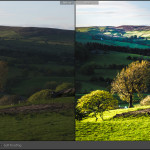 Lightroom Mastery - Professional Level Course (8 hours - small group) - Image 12