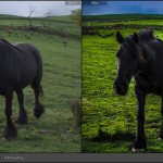 Lightroom Mastery - Professional Level Course (8 hours - small group) - Image 13