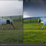 Lightroom Mastery - Professional Level Course (8 hours - small group) - Image 9