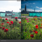 Lightroom Mastery - Professional Level Course (8 hours - small group) - Image 11