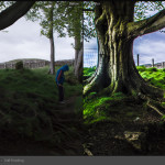 Lightroom Mastery - Professional Level Course (8 hours - small group) - Image 7