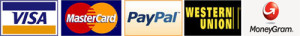 Visa-MasterCard-Paypal-wu-mg[1]